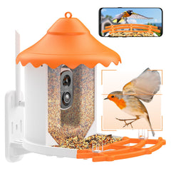 Caméra de Mangeoire à Oiseaux FHD 1080P Oiseaux Exterieur, Caméra d'oiseaux, AI Reconnaissance des Espèces d'Oiseau, Caméra WiFi à Batterie, Capture Automatique des Images/Vidéos, IP65 Etanche (Birdfy Feeder)