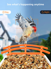 Caméra de Mangeoire à Oiseaux FHD 1080P Oiseaux Exterieur, Caméra d'oiseaux, AI Reconnaissance des Espèces d'Oiseau, Caméra WiFi à Batterie, Capture Automatique des Images/Vidéos, IP65 Etanche (Birdfy Feeder)
