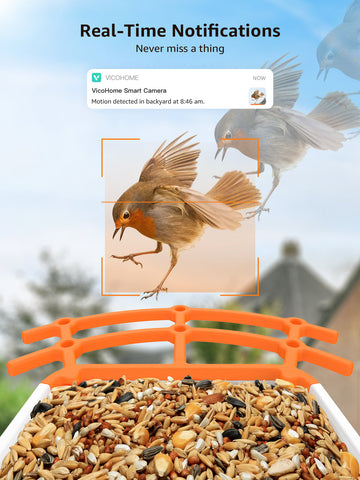 Caméra de Mangeoire à Oiseaux FHD 1080P Oiseaux Exterieur, Caméra d'oiseaux, AI Reconnaissance des Espèces d'Oiseau, Caméra WiFi à Batterie, Capture Automatique des Images/Vidéos, IP65 Etanche (Birdfy Feeder)