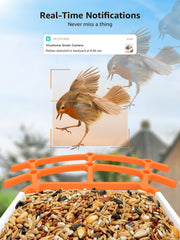 Caméra de Mangeoire à Oiseaux FHD 1080P Oiseaux Exterieur, Caméra d'oiseaux, AI Reconnaissance des Espèces d'Oiseau, Caméra WiFi à Batterie, Capture Automatique des Images/Vidéos, IP65 Etanche (Birdfy Feeder)