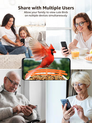 Caméra de Mangeoire à Oiseaux FHD 1080P Oiseaux Exterieur, Caméra d'oiseaux, AI Reconnaissance des Espèces d'Oiseau, Caméra WiFi à Batterie, Capture Automatique des Images/Vidéos, IP65 Etanche (Birdfy Feeder)